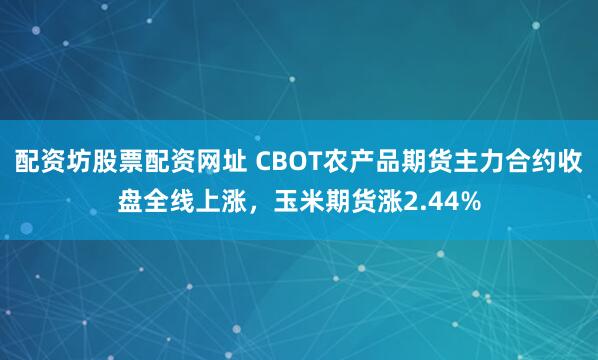 配资坊股票配资网址 CBOT农产品期货主力合约收盘全线上涨，玉米期货涨2.44%