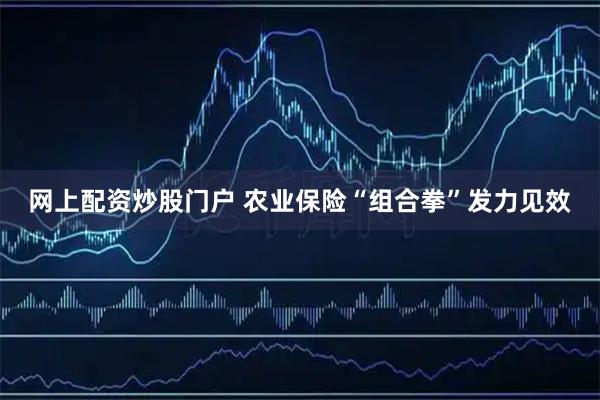 网上配资炒股门户 农业保险“组合拳”发力见效
