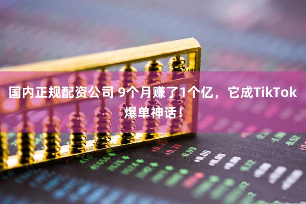 国内正规配资公司 9个月赚了1个亿，它成TikTok爆单神话！
