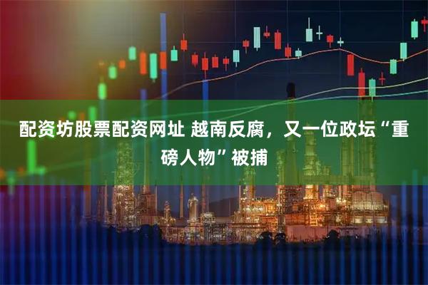 配资坊股票配资网址 越南反腐，又一位政坛“重磅人物”被捕